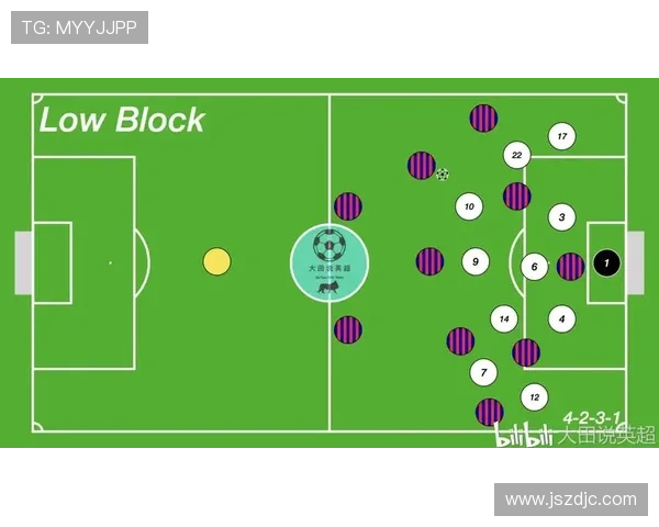 杭州排球队区域防守战术解析与实战应用探讨